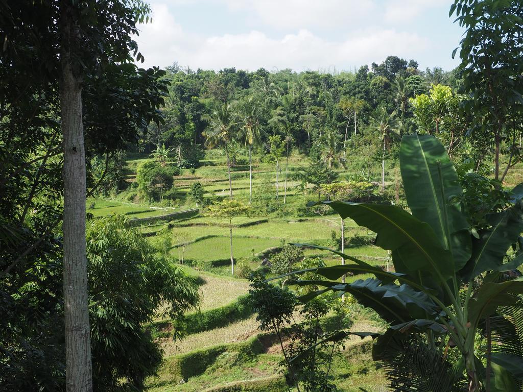 Tetebatu Indah Homestay Экстерьер фото